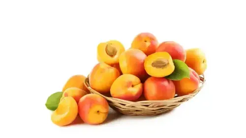 Nutritional and Health Benefits of Apricots
